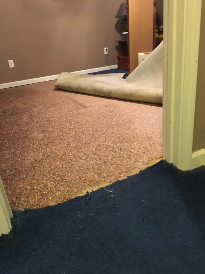 Carpet pad removal revealing water damage during Water Mitigation Services in Dunn Loring