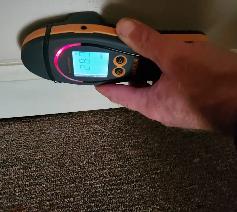 Moisture detection at baseboard during Sewage Cleanup & Sanitation in Dunn Loring